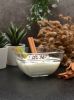 Pa≈üabah√ße 53113 Pudding Glass Bowl 375 cc, 6 Pcs.