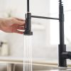 Commercial Black Kitchen Faucet with Pull Out Sprayer, Single Handle Single Lever Kitchen Sink Faucet
